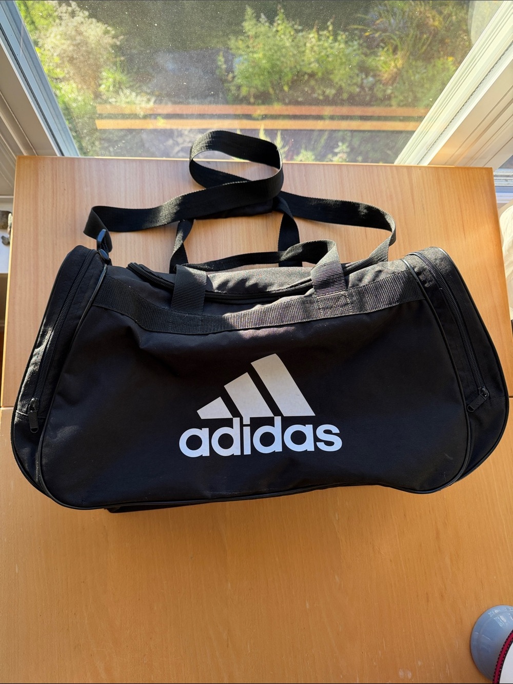 Adidas Black Duffel Bag/Gym Bag